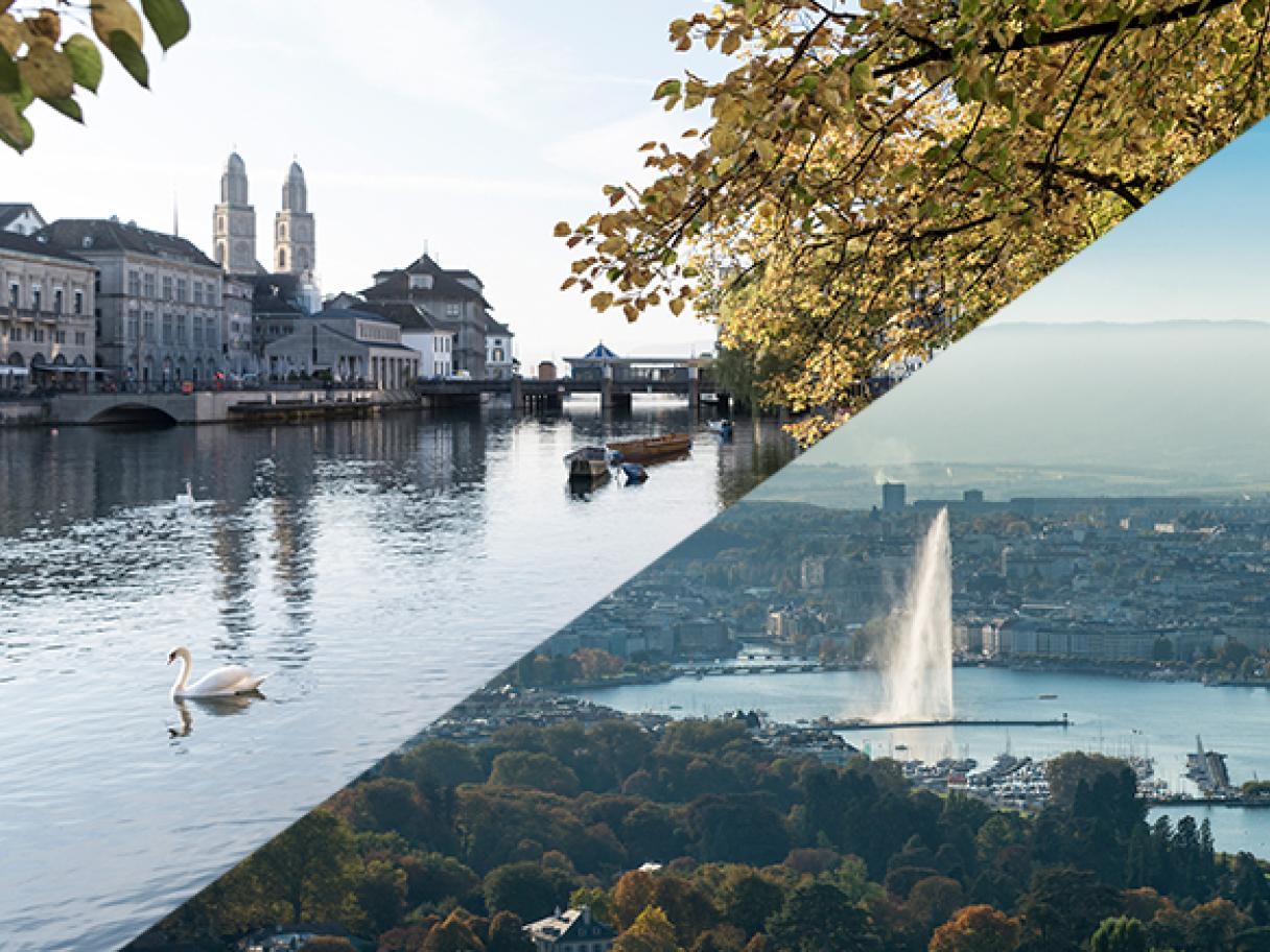 Zurich Meets Geneva