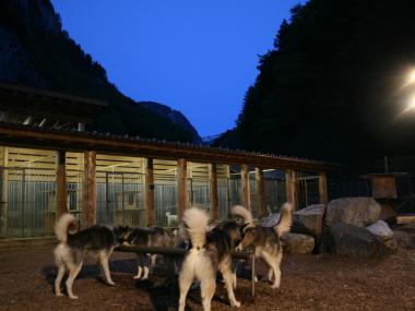 Husky-Lodge Muotathal