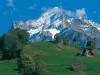 Interlaken Grindelwald Tour